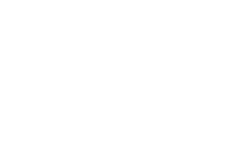 Pensacola Beach Properties Logo